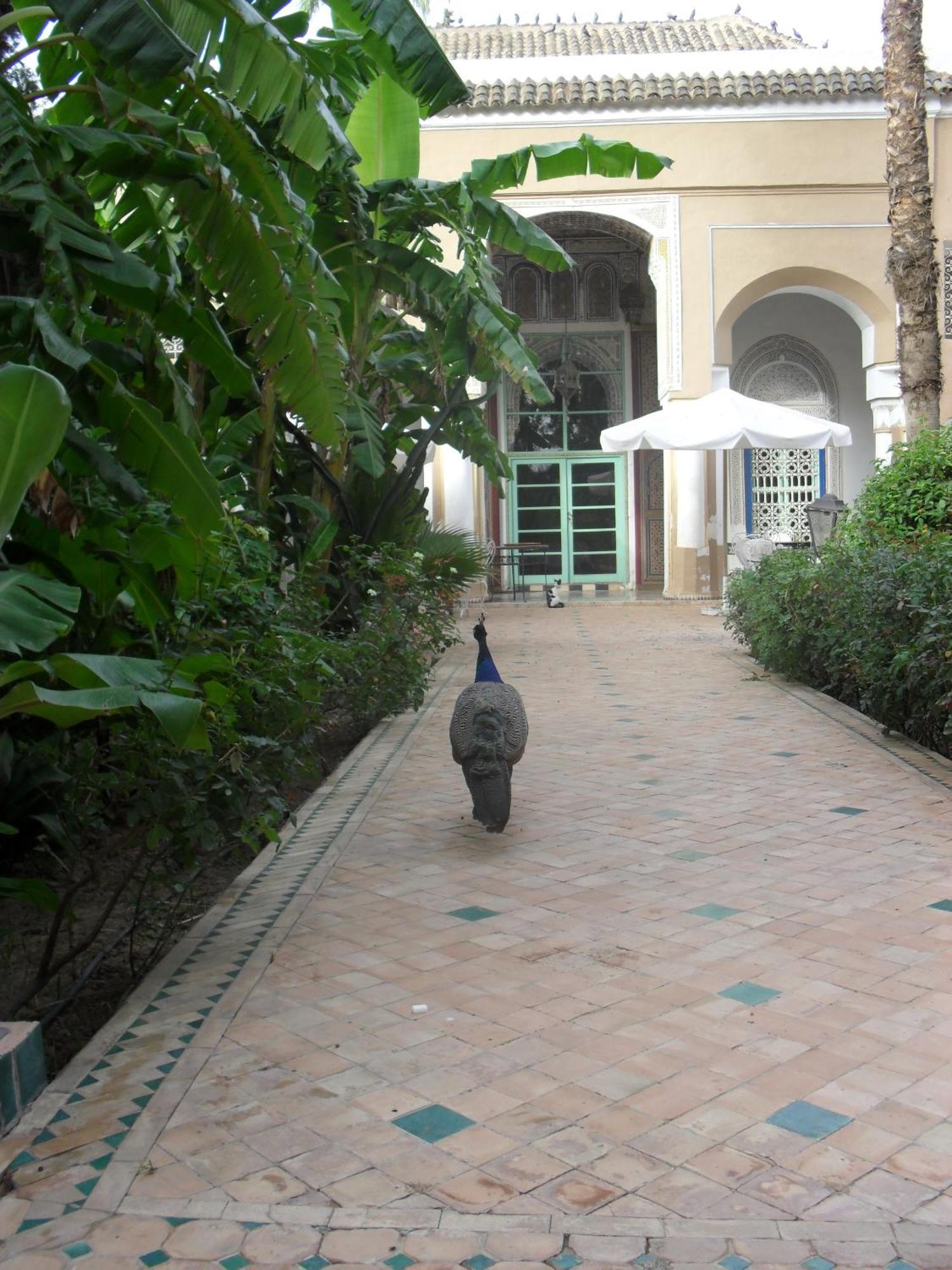 Palais Riad Hida Oulad Barrehil Exterior foto